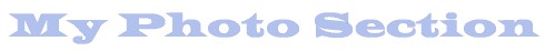 My Photo Section - It is just a word....