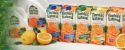 Florida's Orange Juice - A variety of Florida's Orange juce