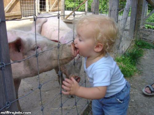 kissy, kissy - Picture say's it all.