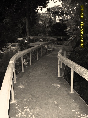 trail - trail over the water in lake balanan...overhead is the canopy