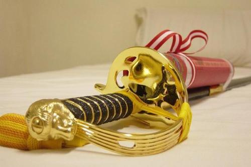 OCS Sword - The sword that took me 10 months to earn. The sword of an officer.