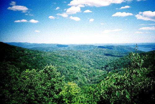 This is the photo that you are voting on.  - One of the many breathtaking valleys here in North Carolina.
