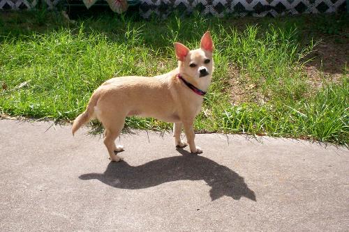 Honey Finally Outside - Brave At last