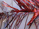 fdgdfgfd - These pcitures are me and i love my self, and you should love me too. These pcitures represent me and i represnt them and i lope these pcitures and it's brings happienss to my life.. i love my self and these pcitures, i would do anything for these pcitures beacuse they make me happy so good luck please share these pcitures with good manners and give me some rights to them ok lol bye bye all these pcitures are mine and someobdy else ok bye bye love you all.