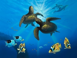 Which is the oldest sea turtle - specify the age of the oldest sea turtle that you have heard of