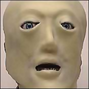 robot - human like robot face