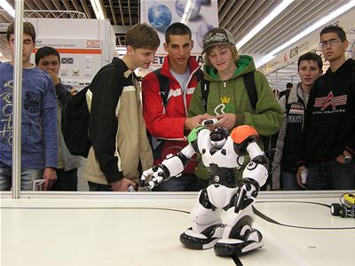 robots - having fun lookig at small robot