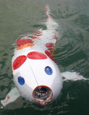 robot - koi robot
