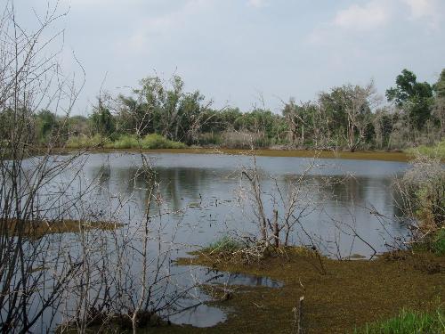 A pristine lake - A lake that is soon to be developed near.