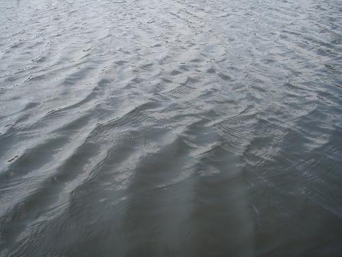 Small waves. - Some small waves on the top of a pond. Would make a nice background.
