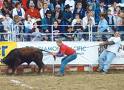 Rodeo 'fun' - This is disgusting. Absolutely disgusting. What the hell are they doing? Creeps.