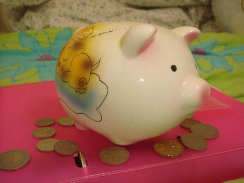 earn extra money - Miss piggy