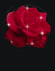 rose - A pretty Rose Glittering bright!!!