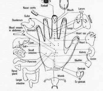 acupressure  - Is acupressure the same thing as a massage