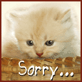 Sorry - How many times you use it?