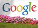 google - google with flowers