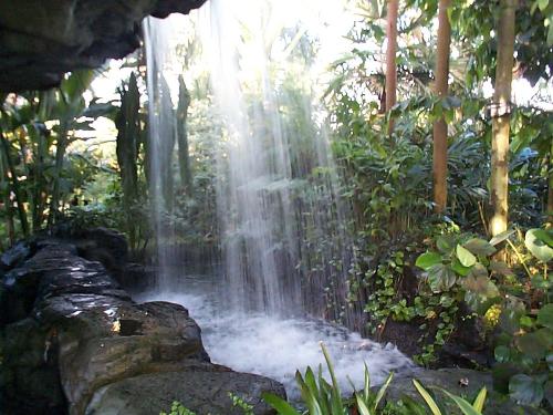 Water Fall - The Water Fall
