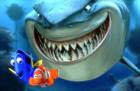 Finding nemo - cutest movie of di cutest fishy e - Finding nemo - cutest movie of di cutest fishy ever !