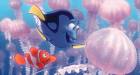 Finding nemo - cutest movie of di cutest fishy e - Finding nemo - cutest movie of di cutest fishy ever !