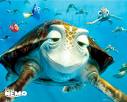 Finding nemo - cutest movie of di cutest fishy e - Finding nemo - cutest movie of di cutest fishy ever !
