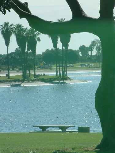 Sandiego - Sandiego pic