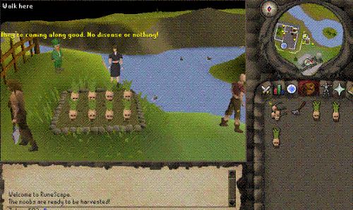 How is my farming - I decidedto start farming today, how does it look? I think noobs sell for a prety peny at the market.