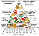 Do you follow recommendations? - The food pyramid is recommended for good health. 

