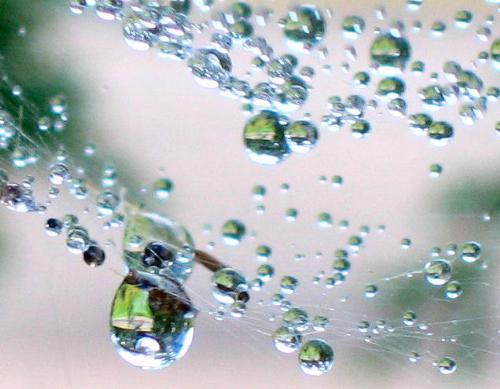 Drops - Drops