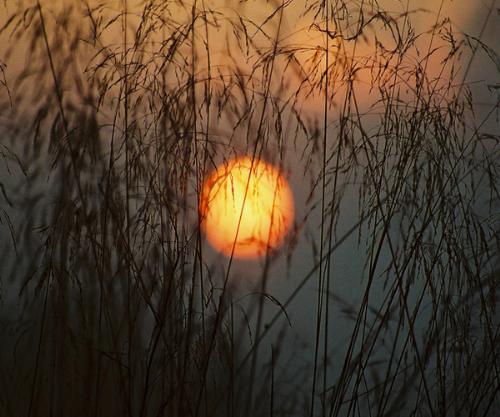 sun - sun rise