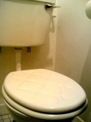 A Toilet - Just your average bog. Nothing special