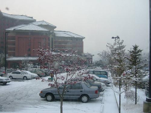 Snow in korea - Snow is precipitation in the form of crystalline water ice, consisting of a multitude of snowflakes. Since it is composed of small rough particles it is a granular material. It has an open and therefore soft structure, unless packed by external pressure.  Snow is commonly formed when Water vapor undergoes deposition high in the atmosphere at a temperature of less than 0°C, and then falls to the ground. It can also be produced by hoar frost which falls from the surface on which it is formed, or falling particles of ice fog formed when the humidity in surface air freezes at very low temperatures. Snow is less dense than rain, which means the same amount of moisture will produce a greater volume of snow than it will rain. One rule of thumb is that the water in eight units of snow is equivalent to one unit of rain