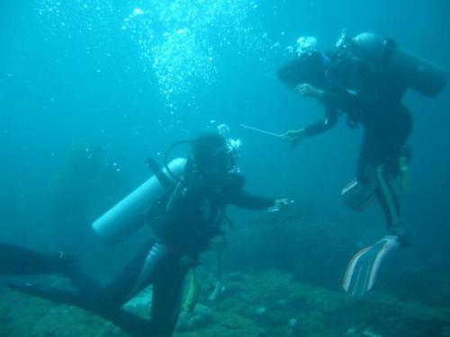 up (emy), down (coolwater05) - says who!? that we cant play down their!? shhh!!! we actually ^_^ if the guest are all well experienced only..... we we're playing while working here.... this picture was actually..... guest stolen shot from us, while we're teasing each other... LOLz   most of them we we're guiding here are photographer diver's and we dont have our cam with us that time, so we find something else's to have fun....shhh!!!