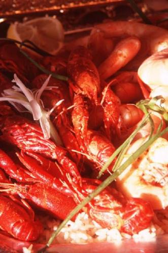 Shrimp and Crawdads--My normal view - This photo depicts my normal view of shrimp and crawdads....I had never seen shrimp alive and in a tank before visiting your website...