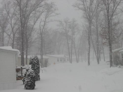 Winter in michigan - Winter time in michigan is very beautiful where you can see the snow all over the place .It creates the sparkling shine like crytal under the sun.