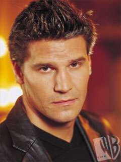 Angel - Image of Angel played by David Boreanaz