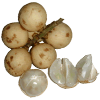 Lanzones - My favorite fruit that they don&#039;t have in California but they have in the Phillippines. WHOO FILIPINO PRIDE! 