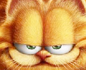 Pets - This photo is Garfield