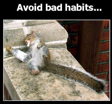 bad habits - do you like this