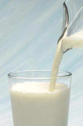 Milk - a glasse of milk