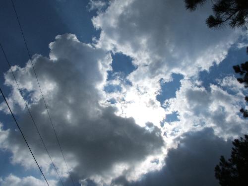 ... - ..............................