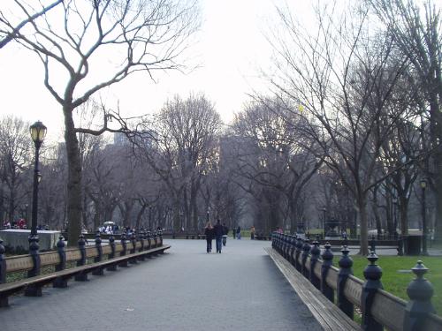 Central park... - That classic view.