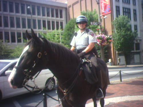 One of the police officers that ride the horse her - One of the police officers that ride the horse here in Lancaster Pa.