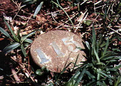 Danvers Hospital - One of the many grave markers of the Danvers Cemetery.