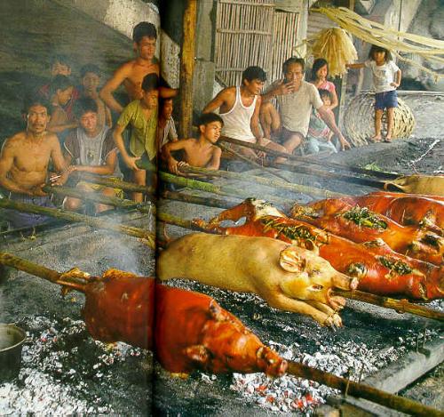 Parade of Lechon - parade of golden-red and crispy roasted pigs