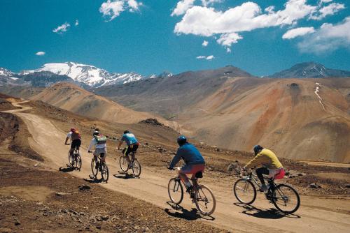 mountain biking - a group of mountain bikers