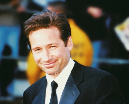 David Duchovny - He was perfect FBI agency at x-files.