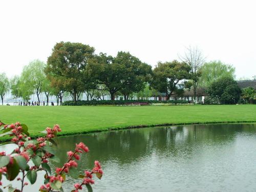 green - west lake in hangzhou
