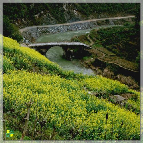 golden - my village