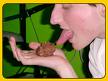 just like this,mmmmmm delicious. - mmmmmmm shittilicious!.