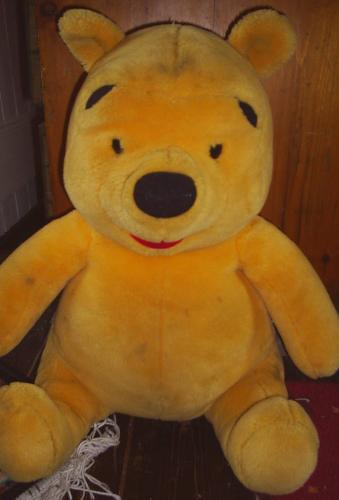 Pooh Bear - I love Winnie the Pooh and his whole gang of pals. This particular Pooh Bear is 12 years old.